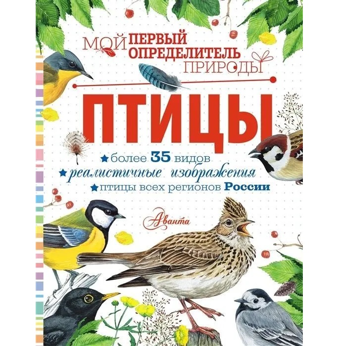 

Птицы