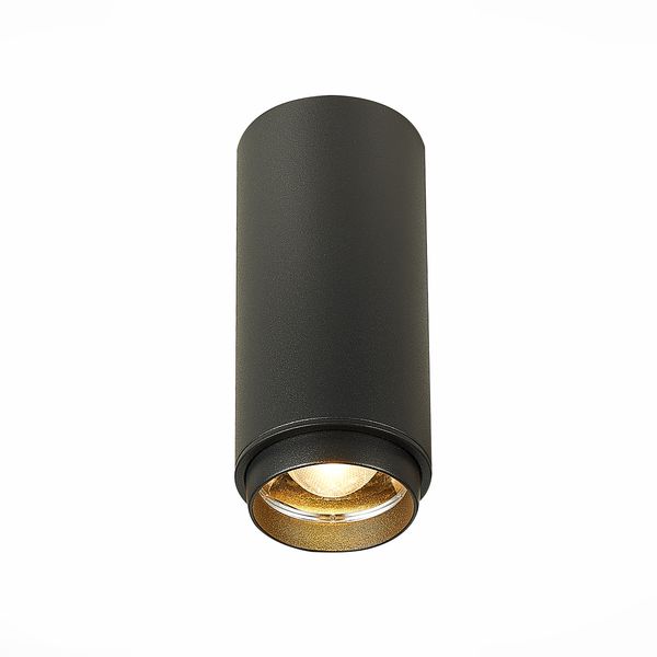 Светильник потолочный ALMA LIGHT ALC00069BK-3000K-LED.1x10W