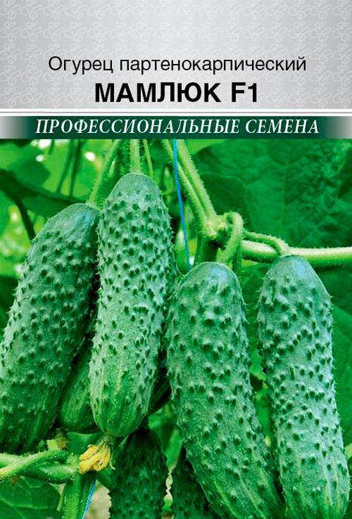 

Семена огурец Мамлюк F1 27358 1 уп.- 10шт.