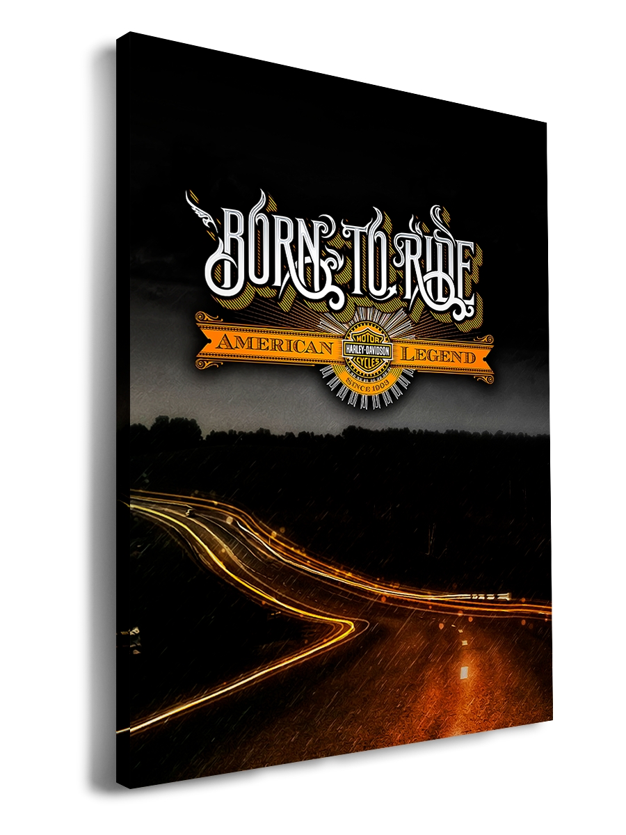 

Картина DRABS 60x40 см на холсте Born to ride