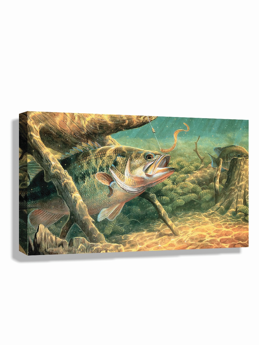 

Картина DRABS 60x40 см на холсте Карась клюет на червя