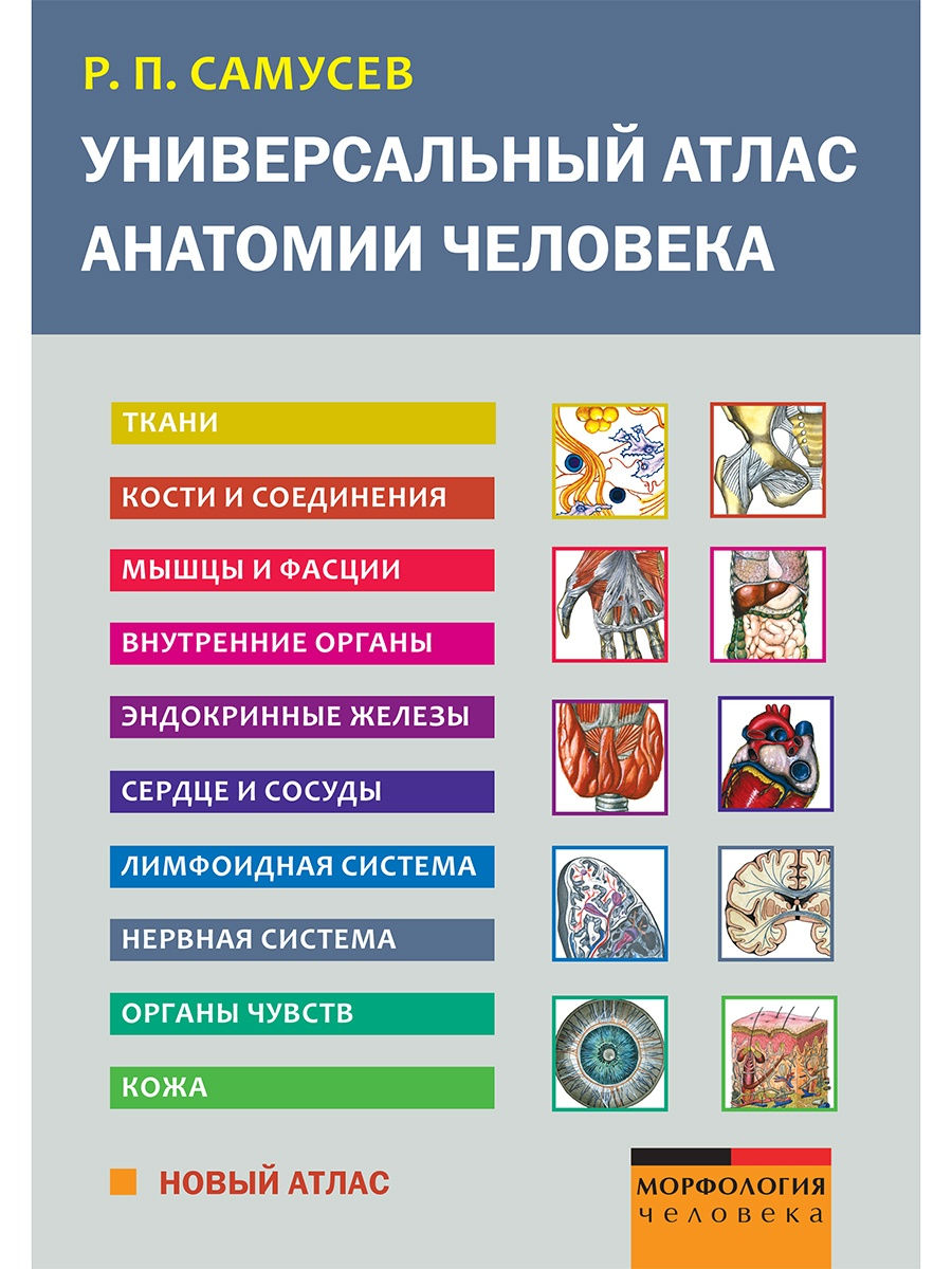

Атлас анатомии человека