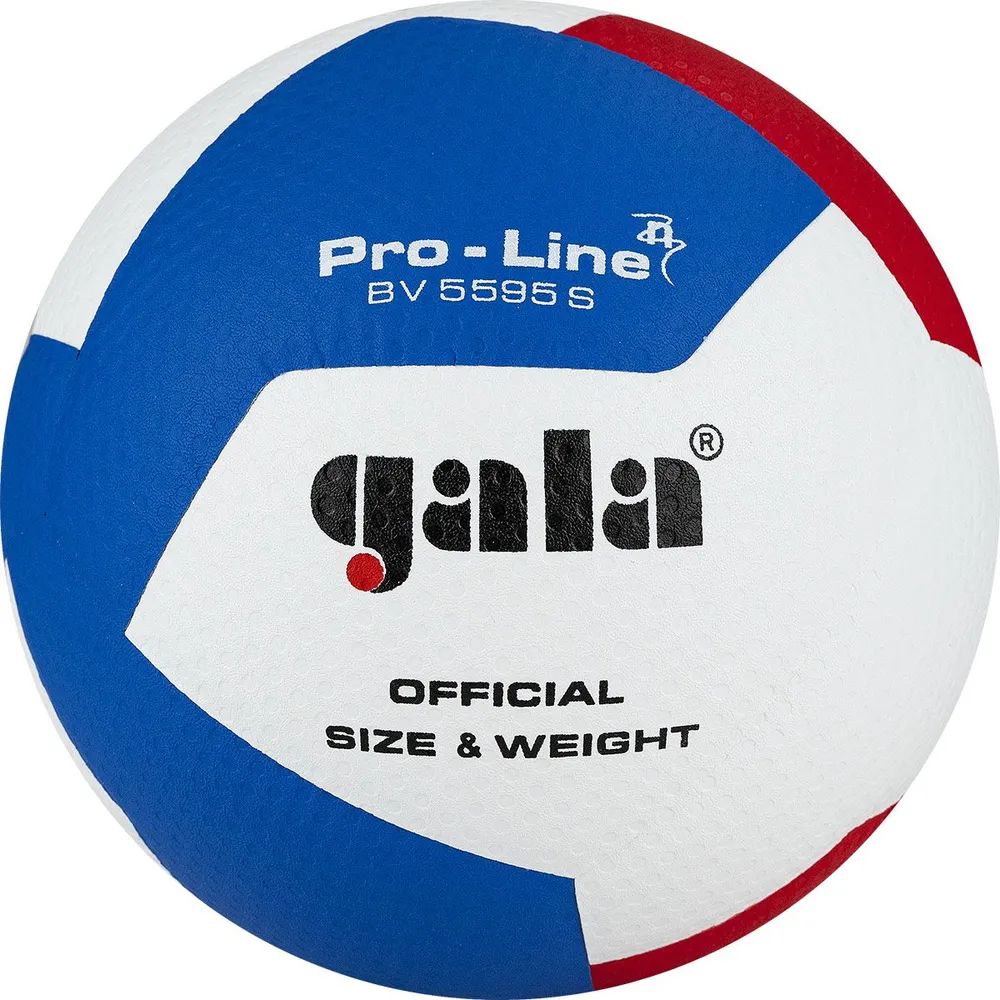 Мяч волейбольный GALA Pro-Line 12 BV5595SA размер 5 7311₽