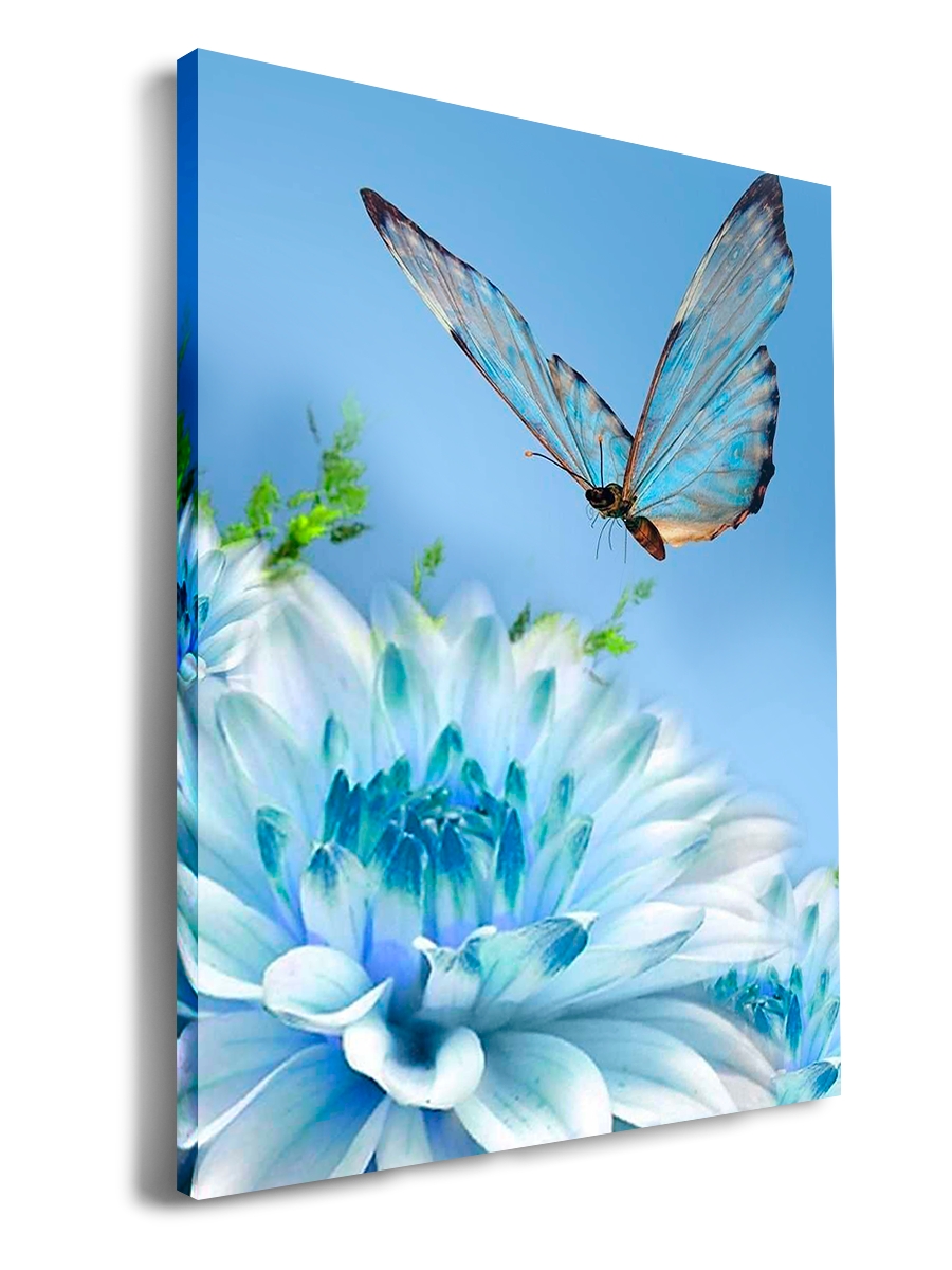 

Картина DRABS 60x40 см на холсте Бабочка и астра