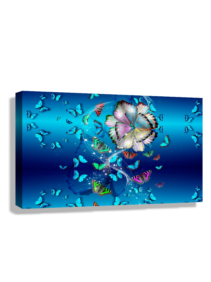 

Картина DRABS 60x40 см на холсте Бабочки