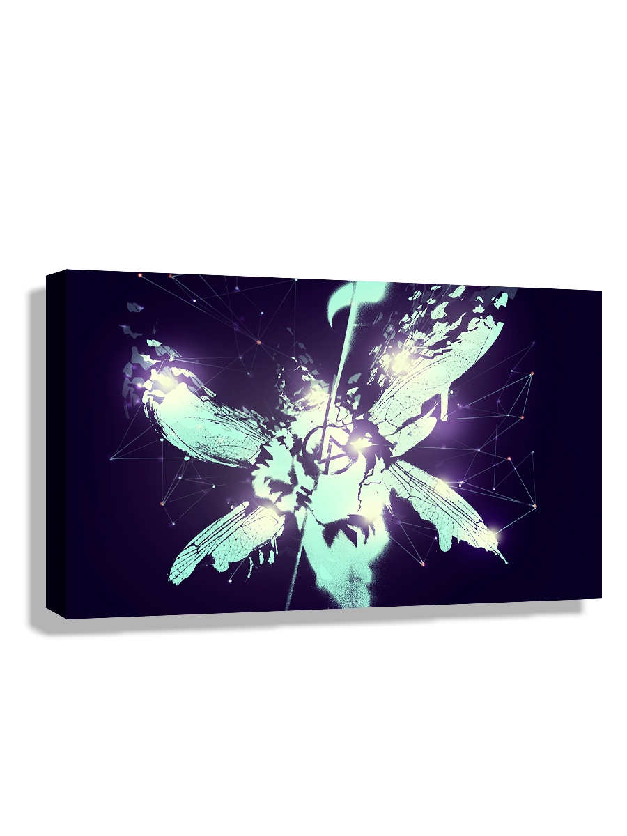 

Картина DRABS 60x40 см на холсте Linkin Park Стрекоза