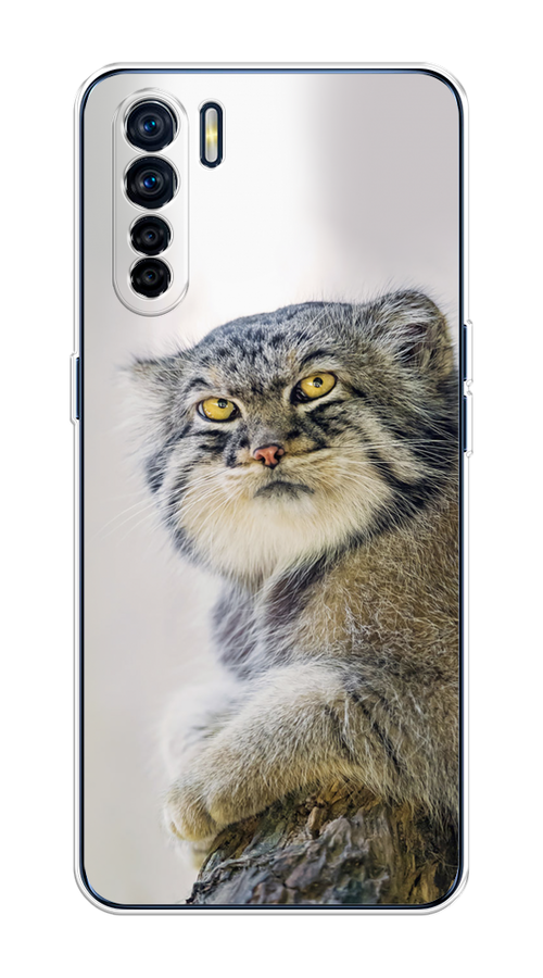 

Чехол на Oppo A91/Reno 3 "Кот манул 1", Серый;белый;желтый, 254250-1