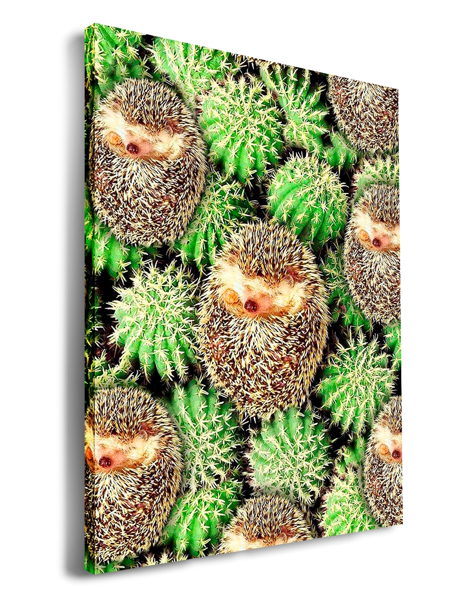 

Картина DRABS 60x40 см на холсте Ежики и кактусы