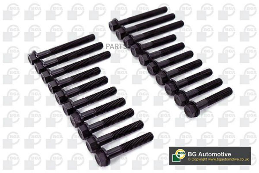 

BK5325_к-кт болтов ГБЦ! 10шт. BMW E36/E46/E39 1.7TDs-2.0TDi M41D/M47 94>