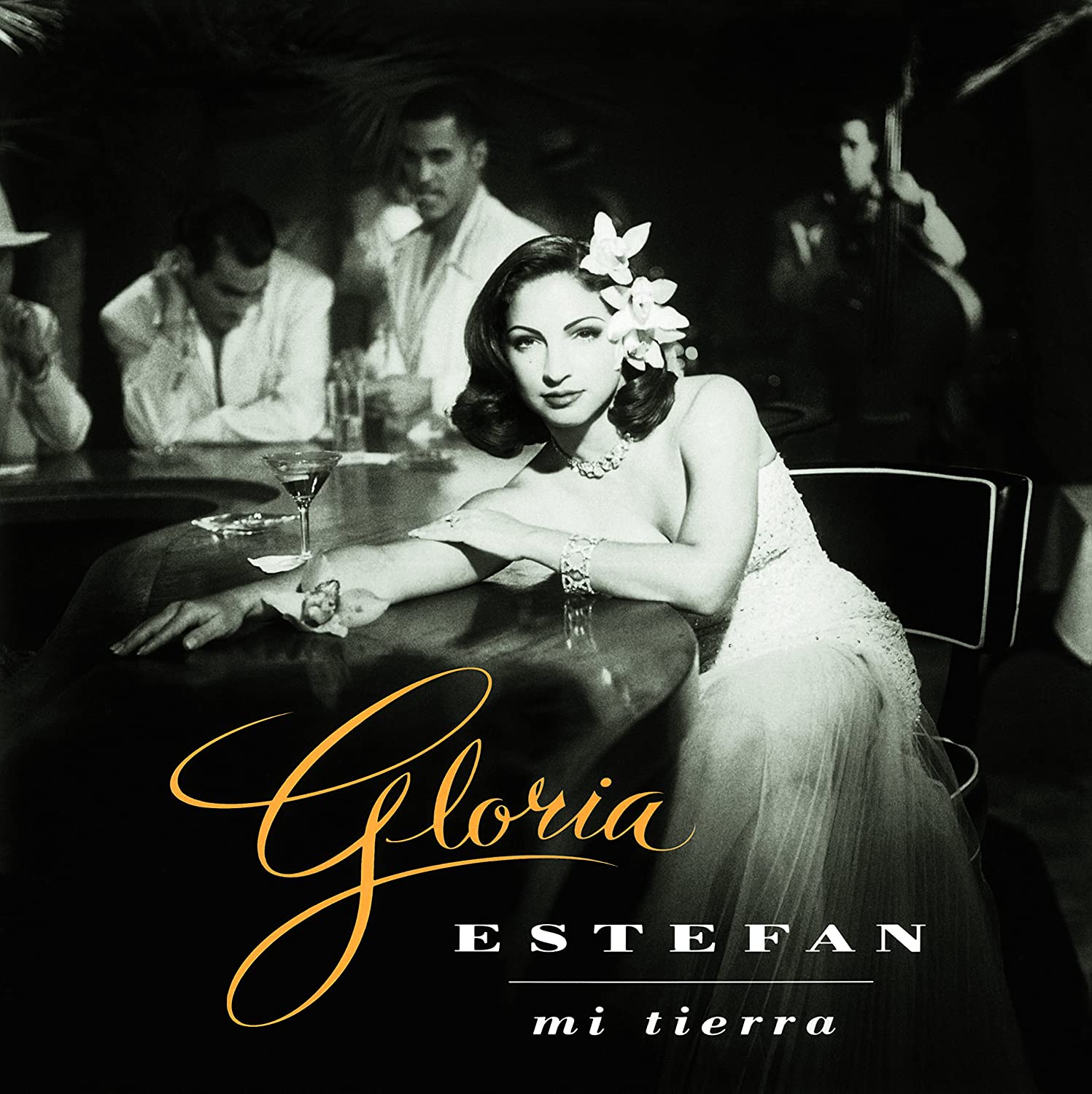 

Gloria Estefan Mi Tierra (Винил)