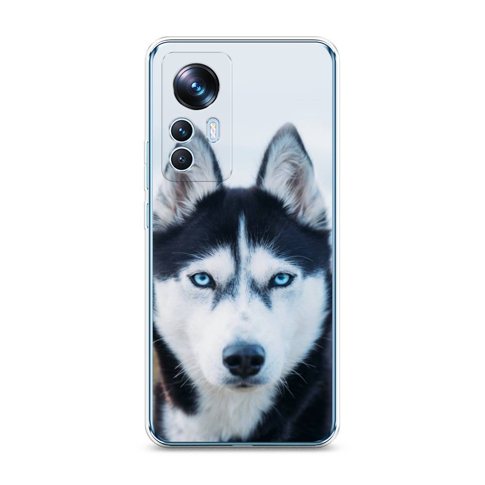 

Чехол на Xiaomi 12T "Хаски 2", Синий;белый, 316650-1