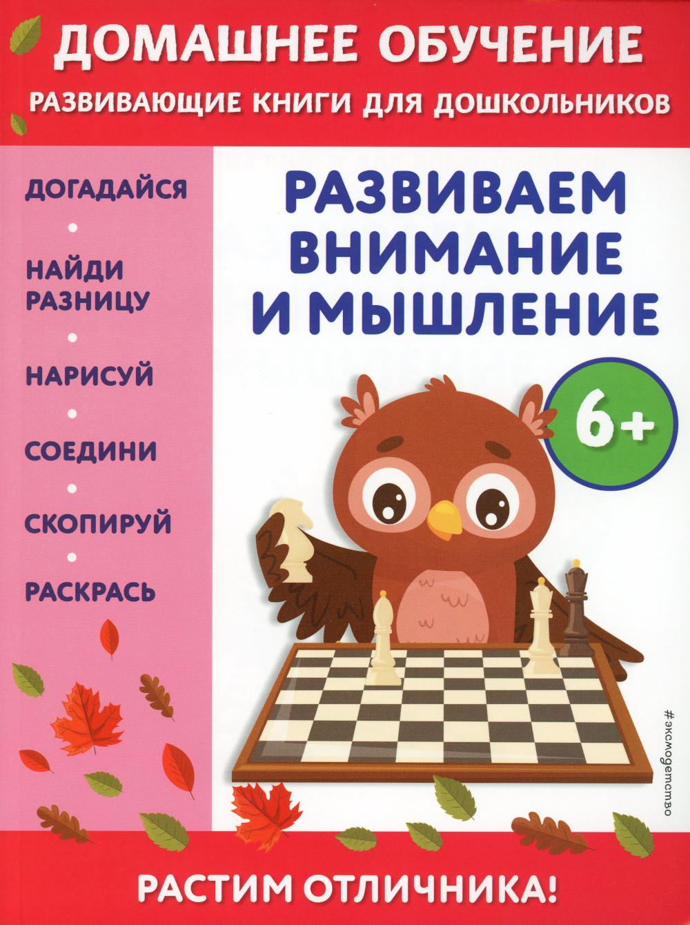 

Развиваем внимание и мышление: для детей от 6 лет
