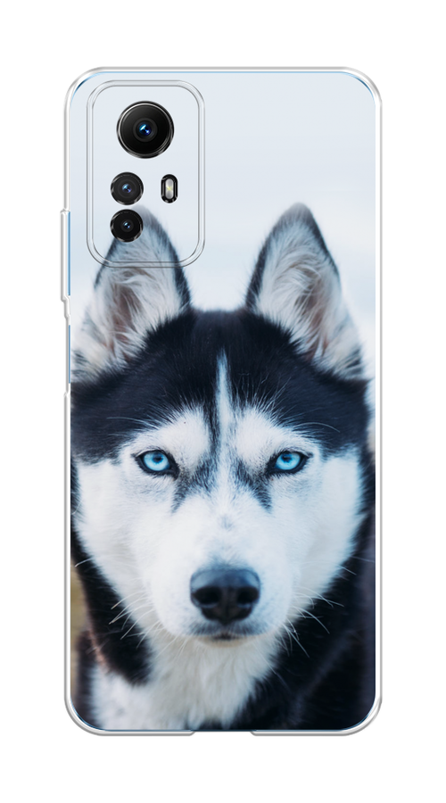 

Чехол на Xiaomi Redmi Note 12S "Хаски 2", Синий;белый, 318950-1
