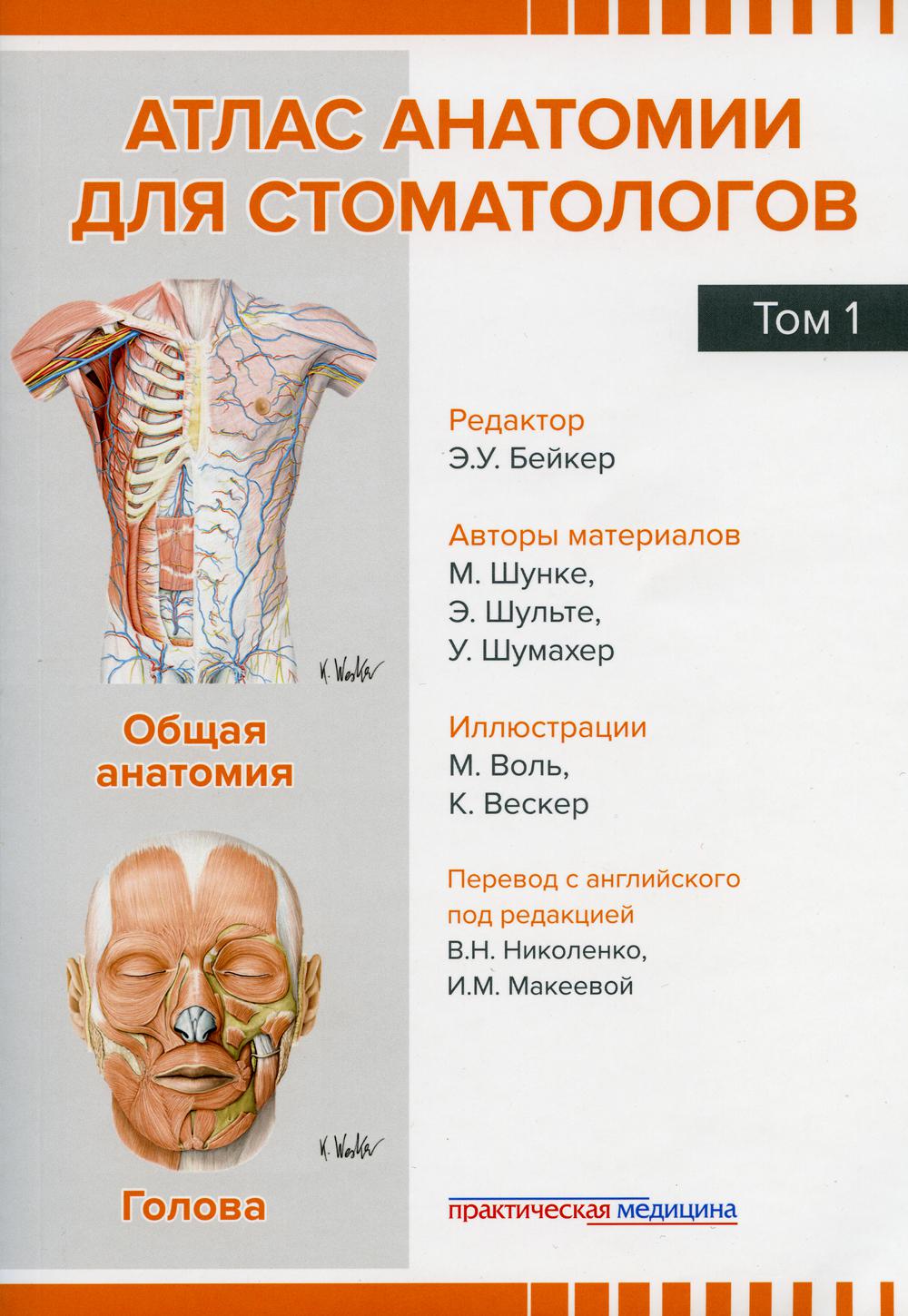 

Атлас анатомии для стоматологов