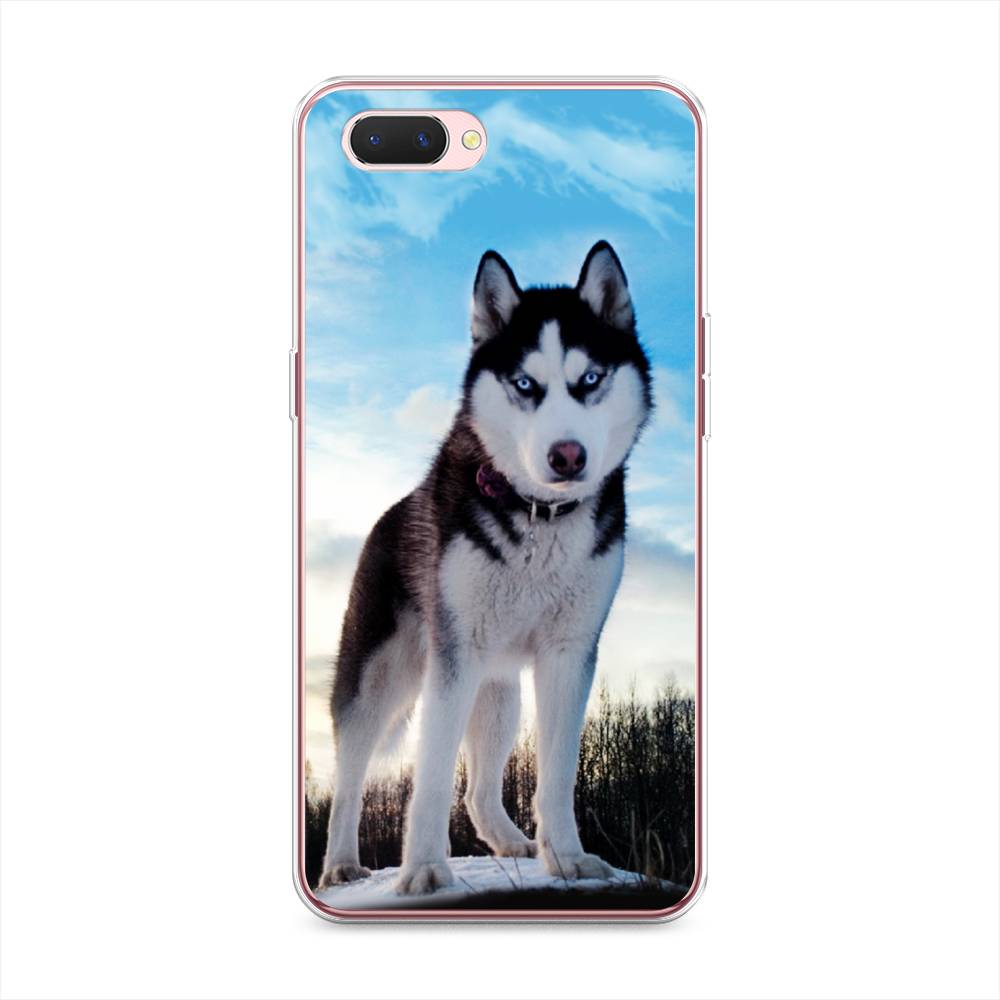 

Чехол Awog на Oppo A3s "Хаски 3", Разноцветный, 252050-2
