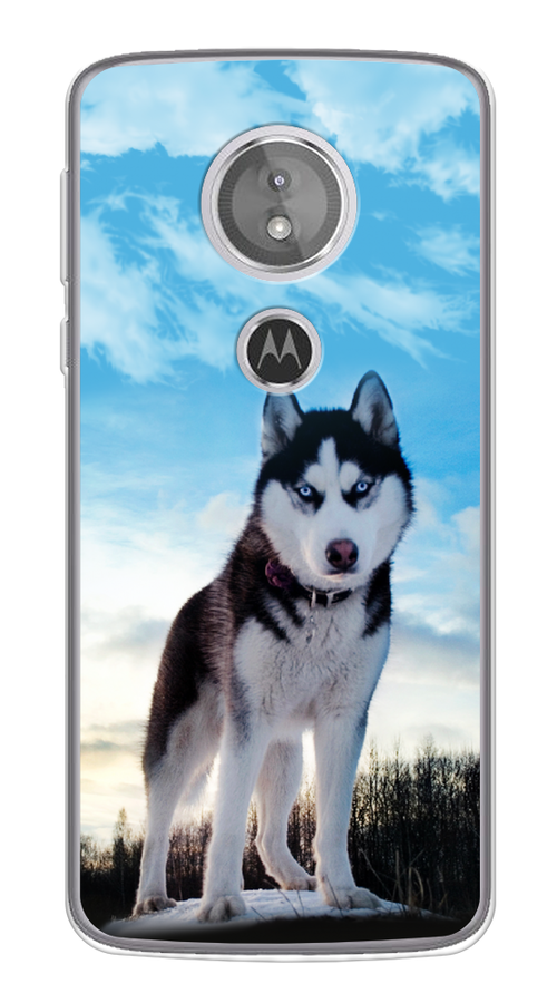 

Чехол Awog на Motorola Moto G6 Play / Моторола Мото G6 Плэй "Хаски 3", Разноцветный, 240950-2