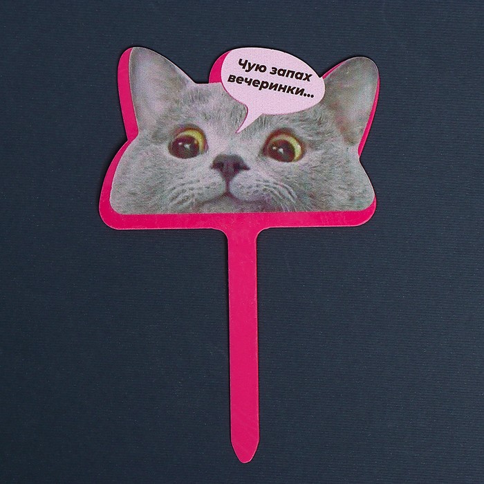 

Топпер акрил "Чую запах вечеринки"