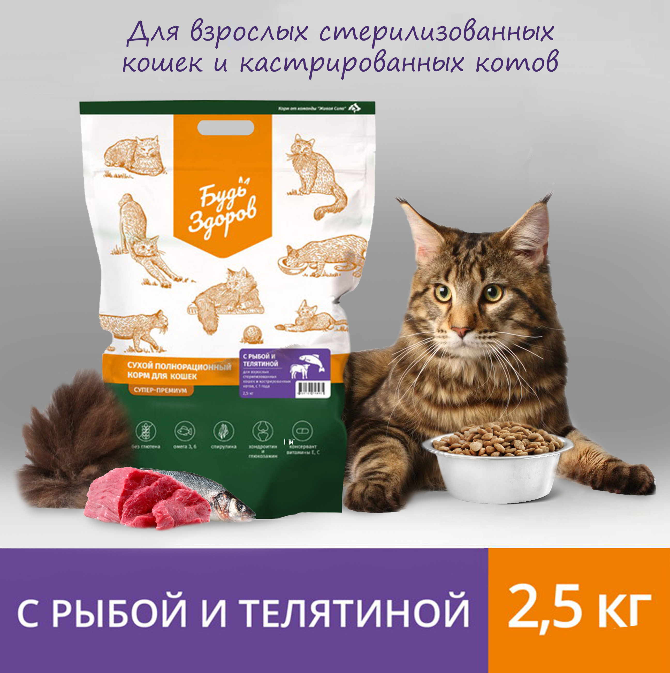 Сухой корм для кошек Будь Здоров, для стерилизованных, с рыбой и телятиной, 2,5 кг
