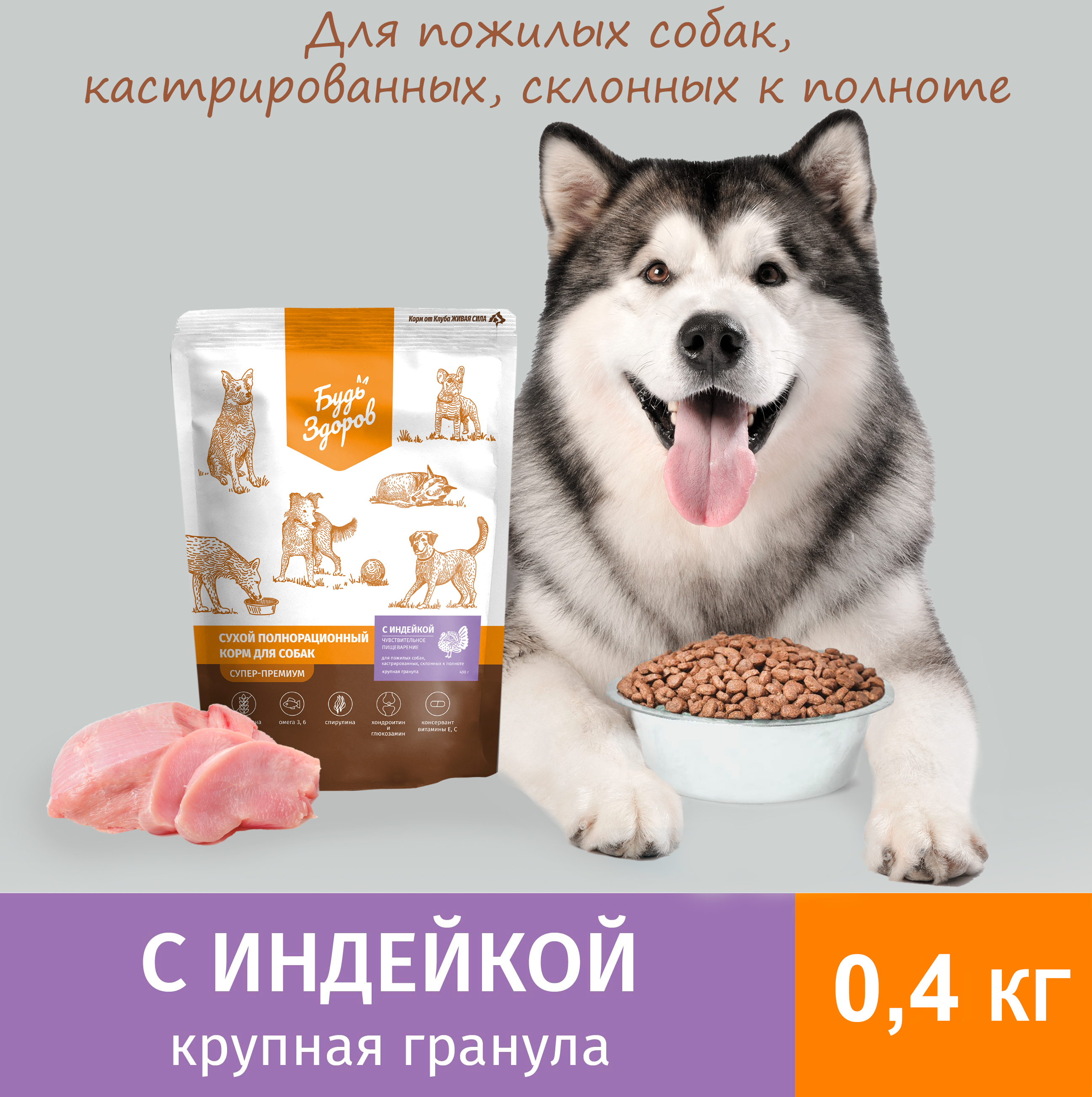Сухой корм для собак Будь Здоров Живая Сила, крупная гранула, с индейкой, 0,4 кг
