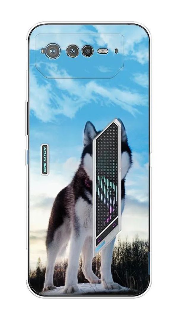 

Чехол Awog на Asus ROG Phone 6 "Хаски 3", Разноцветный, 44650-2
