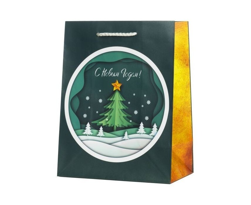 

Пакет подарочный 17,8 х 22,9 х 9,8 см Magic Pack