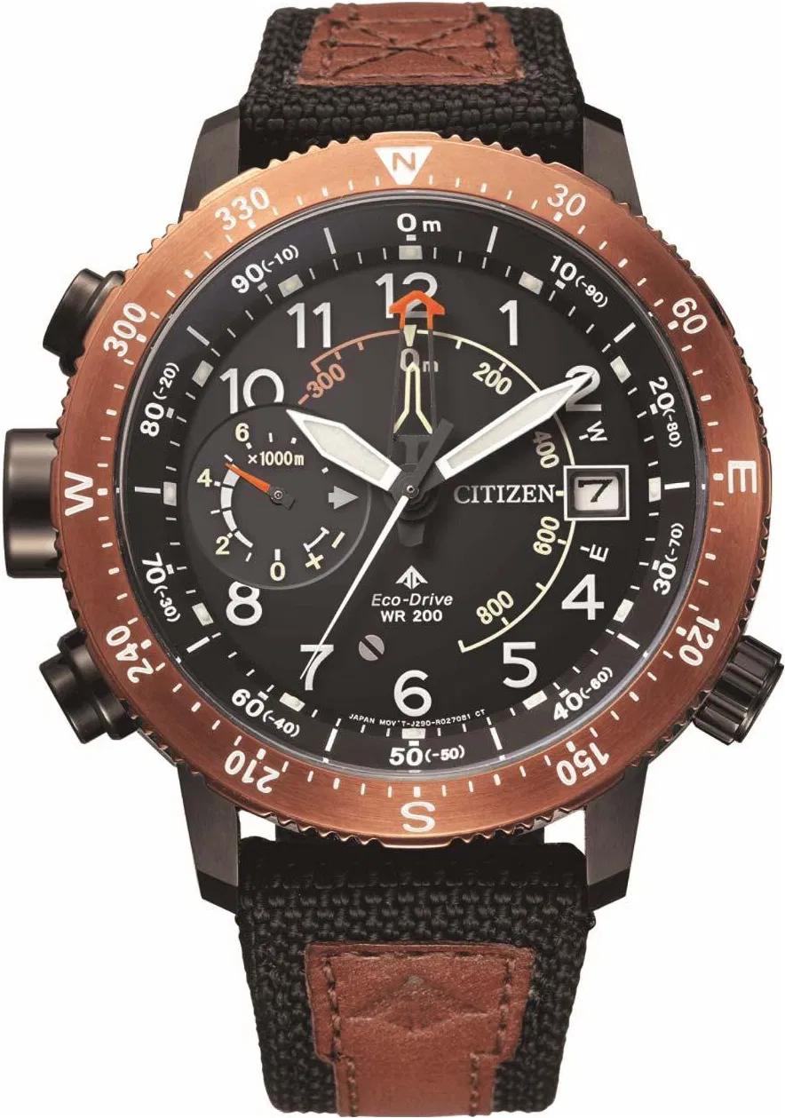 

Наручные часы мужские Citizen BN4049-11E, BN4049-11E