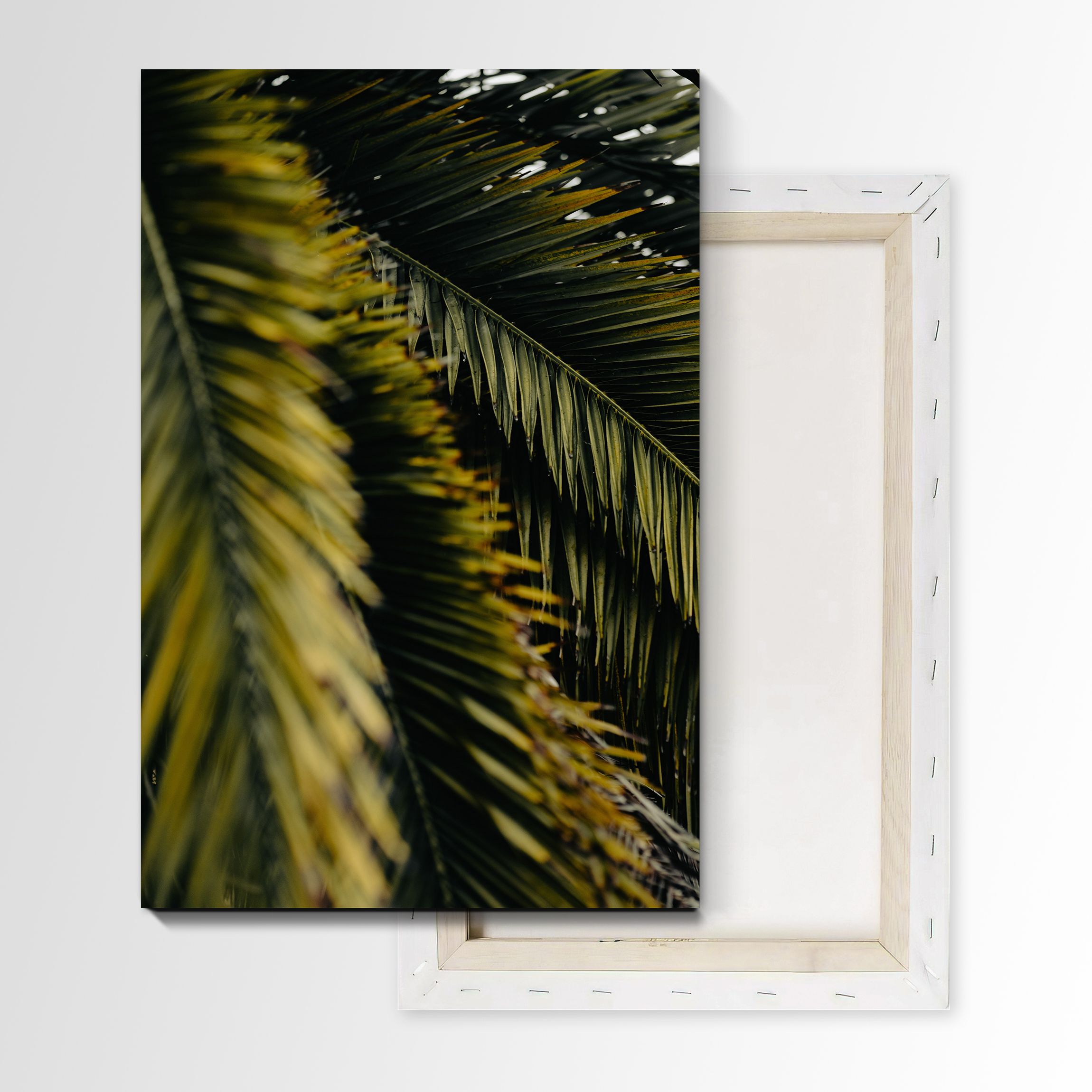 

Картина Prostokartina на холсте Листья пальмы 75х50 см 483889360, 483889360