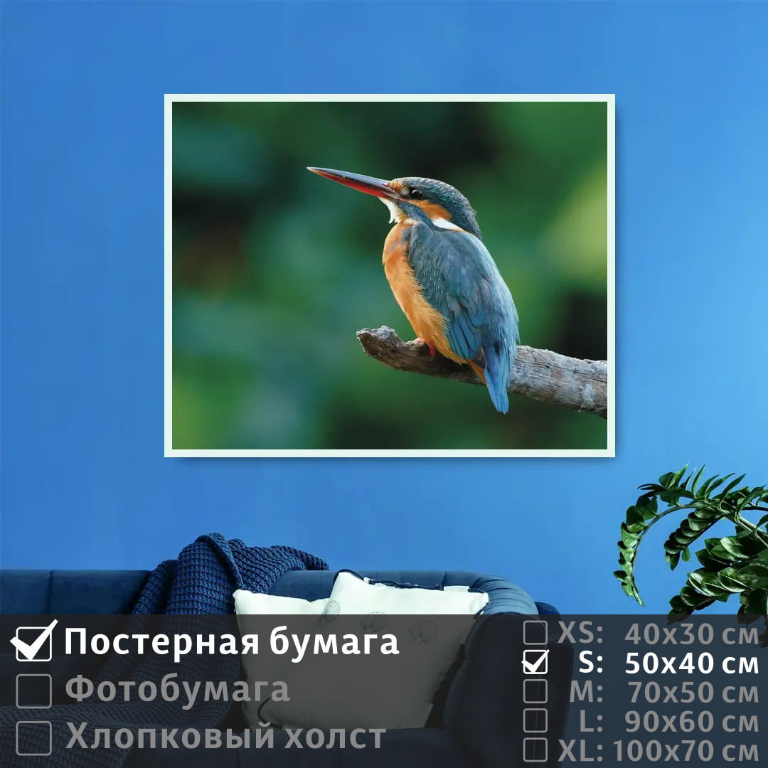 

Постер на стену ПолиЦентр Птичка на ветке 50х40 см, ПтичкаНаВетке