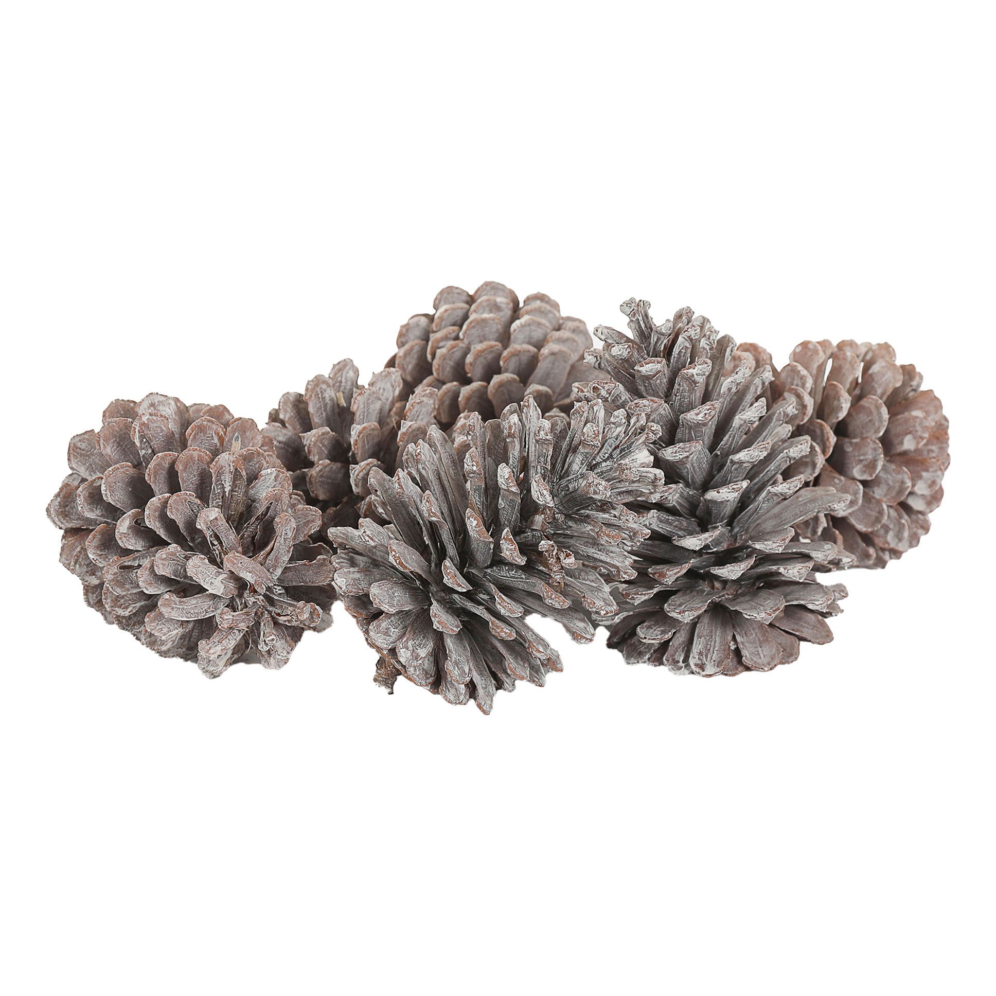 Набор елочных игрушек Dekor pap Шишки заснеженные 6 шт