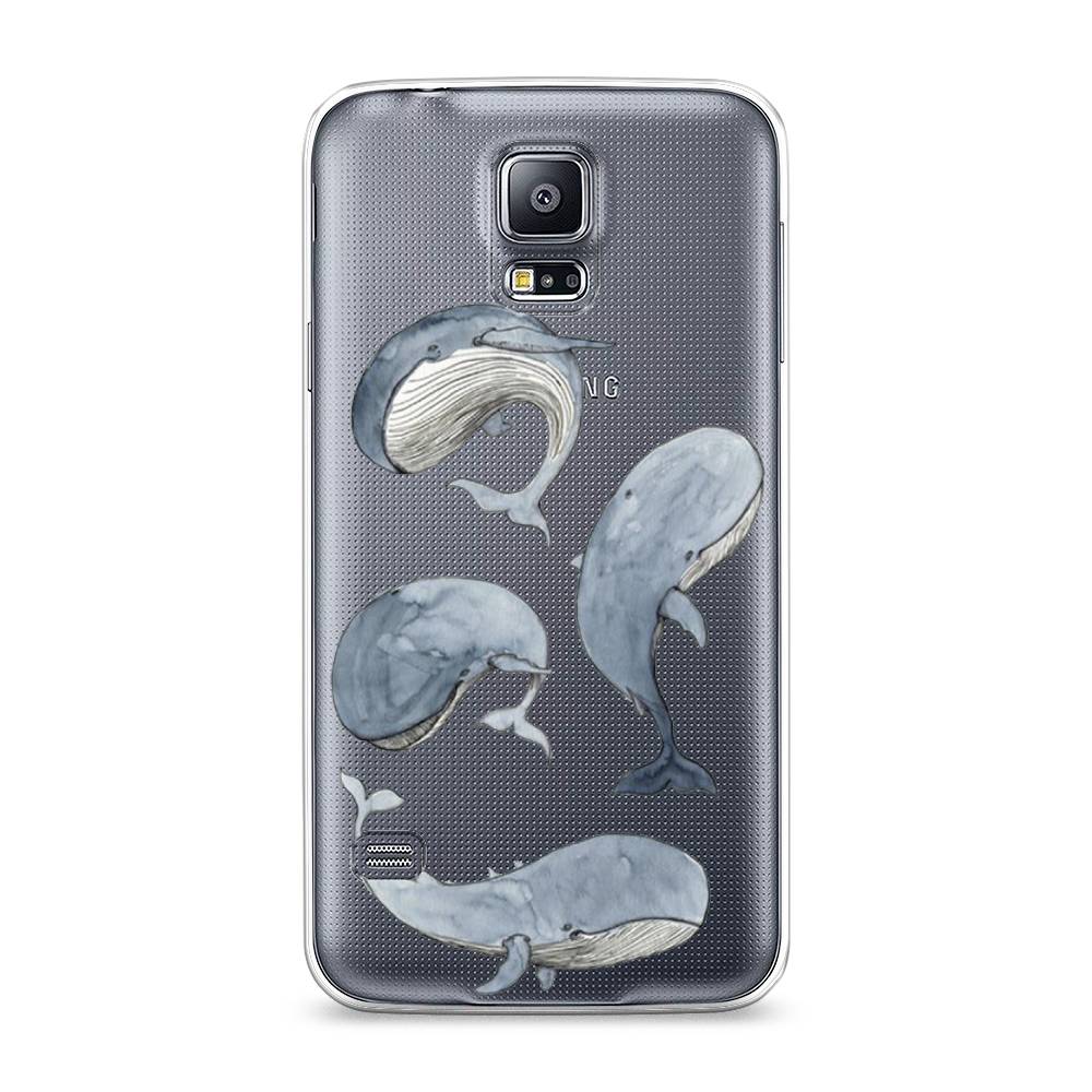 

Чехол Awog на Samsung Galaxy S5 "Киты", Белый;прозрачный;голубой, 24150-1