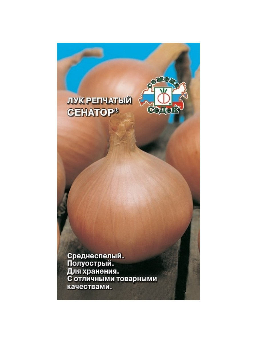 

Семена лук Сенатор СеДеК