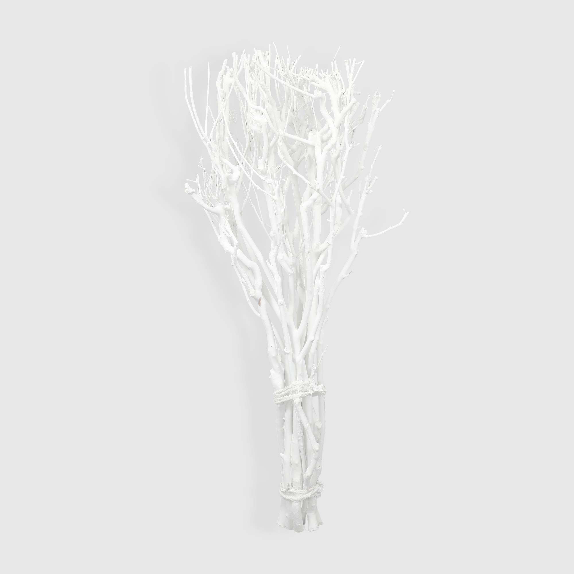 

Искусственное растение Anui Home Ива белая 70 см, Белый