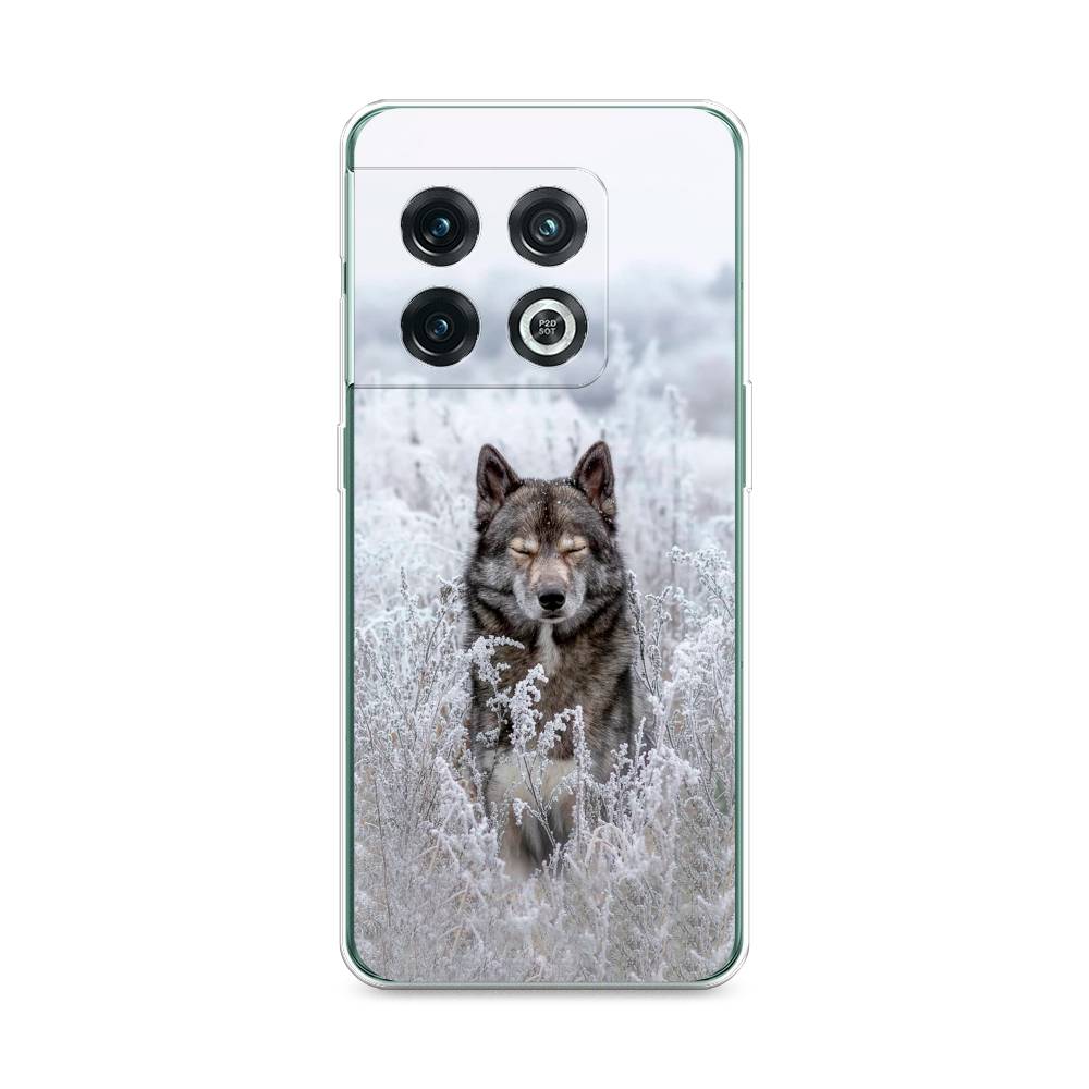 

Чехол Awog на OnePlus 10 Pro / ВанПлас 10 Pro "Волк в поле", Белый;черный, 152150-1
