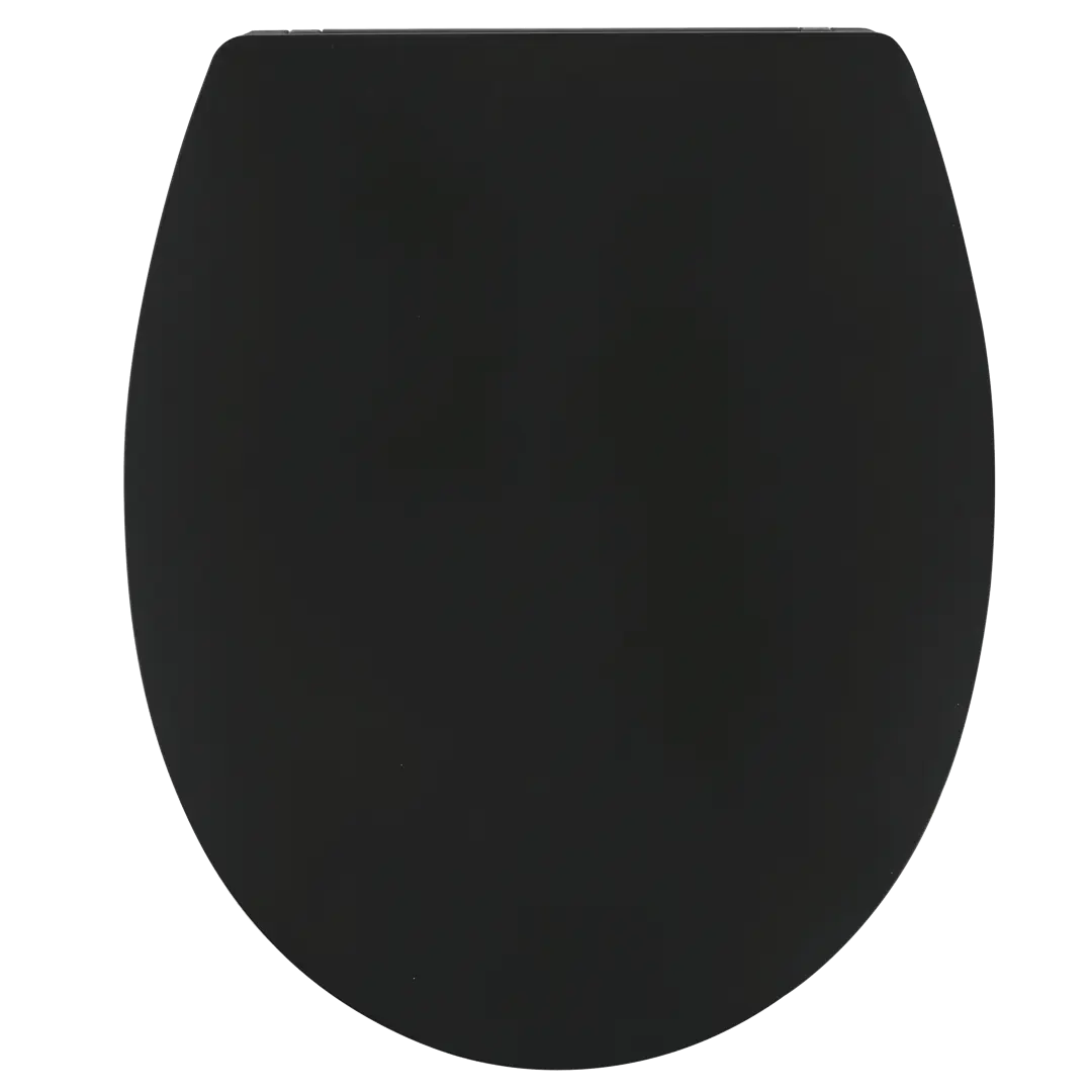фото Сиденье для унитаза sensea slim neo овальное, цвет чёрный