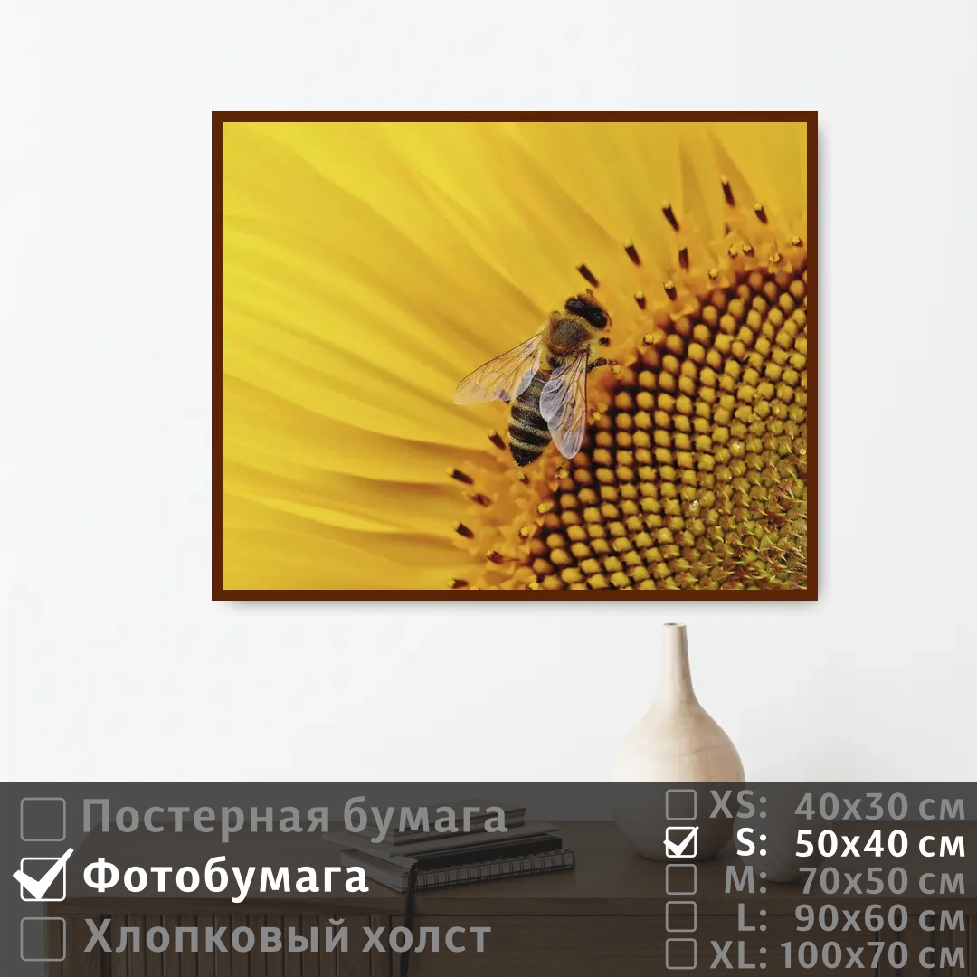 

Постер на фотобумаге ПолиЦентр Пчела в подсолнухе 50х40 см, ПчелаВПодсолнухе