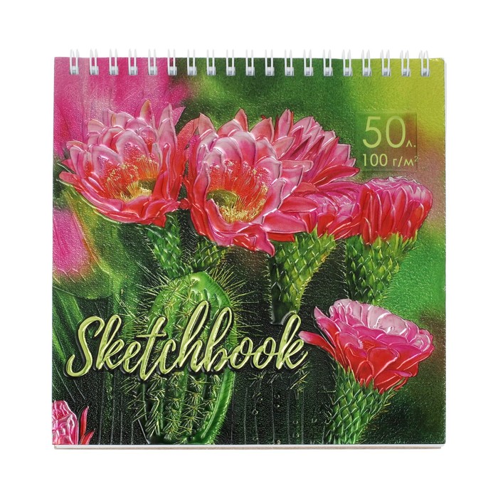 

Скетчбук Calligrata Кактусы 170 х 170 мм 50 листов, твёрдая обложка 2шт