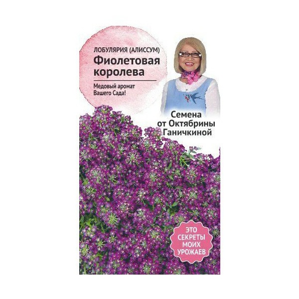 

Семена алиссум Семена от Октябрины Ганичкиной Фиолетовая королева 1 уп.