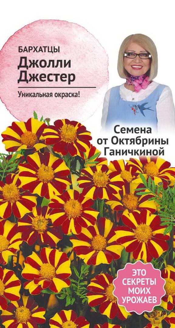 Семена бархатцы Семена от Октябрины Ганичкиной Джолли джестер 1 уп.