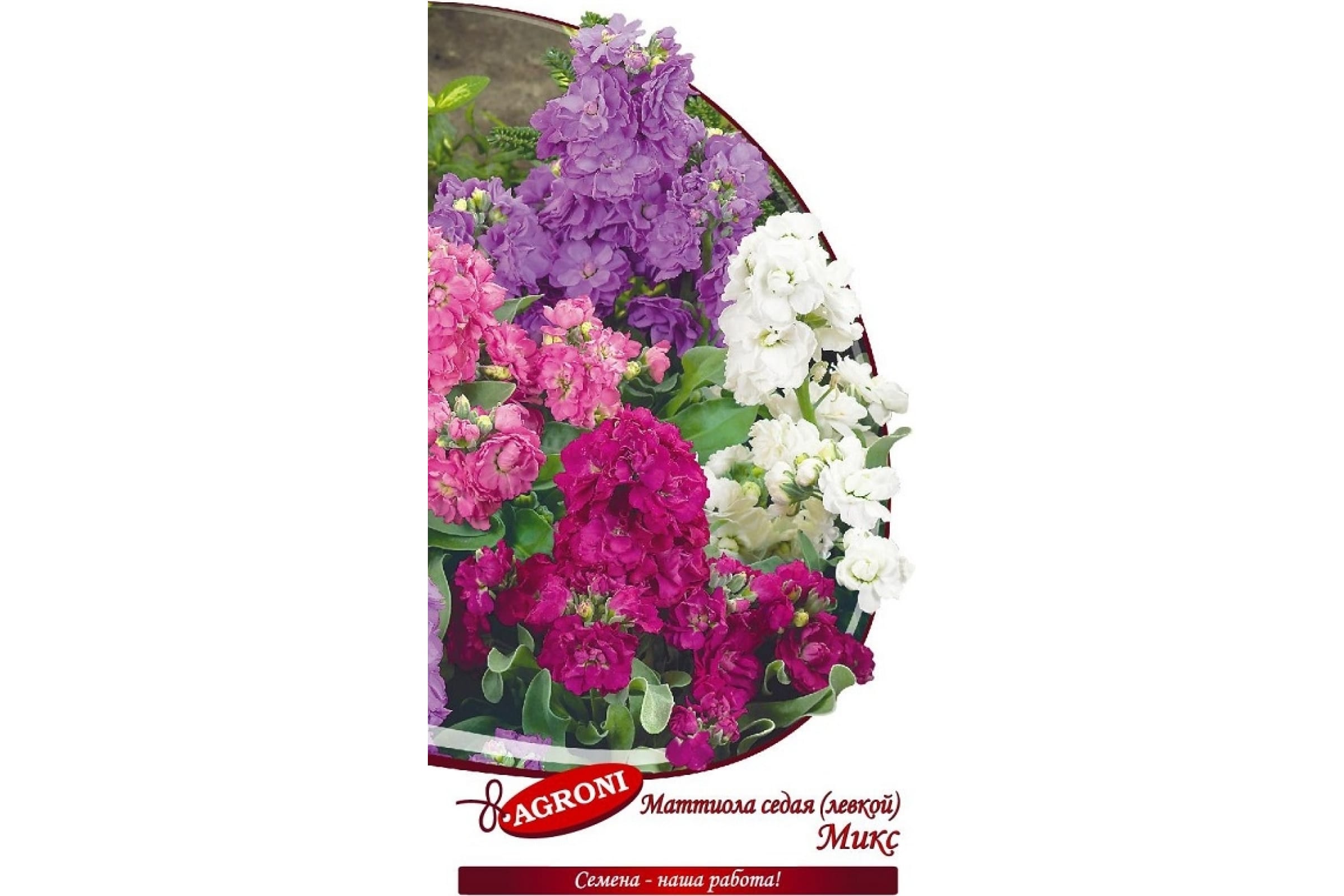 

Семена Agroni Левкой микс 0,5 г