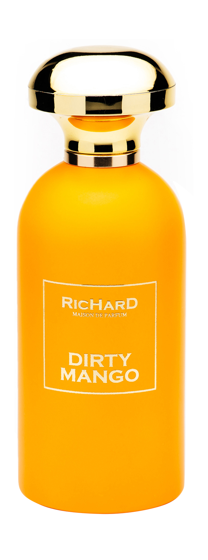 Парфюмерная вода RicHarD Maison de Parfum Dirty Mango 100 мл dirty mango