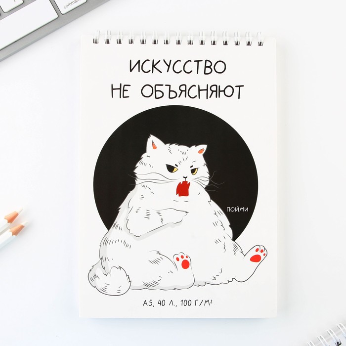 Скетчбук ArtFox А5, 40 л 100 г/м2 Кот, 2шт