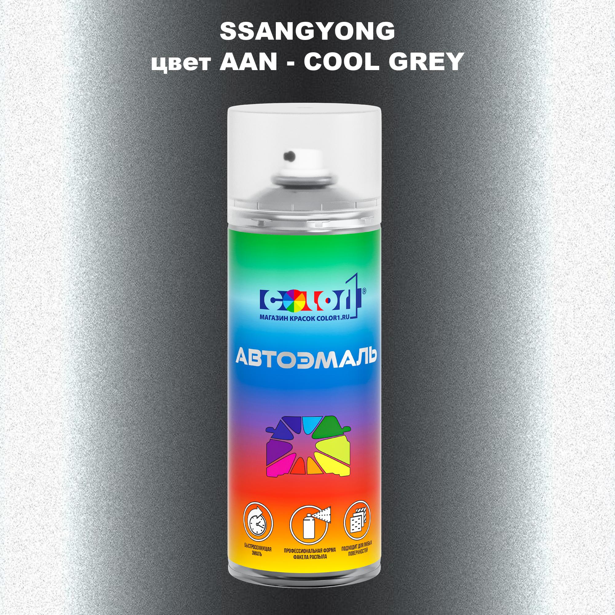 

Аэрозольная краска COLOR1 для SSANGYONG, цвет AAN - COOL GREY, Прозрачный