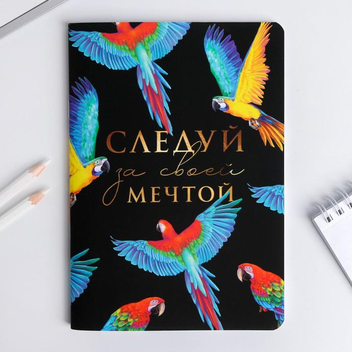 

Блокнот софт-тач ArtFox А5 Следуй за своей мечтой А5 48 листов 2шт