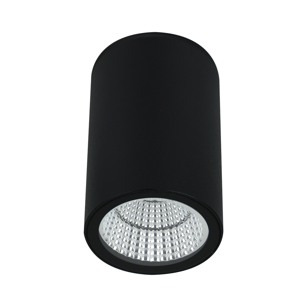 

Уличный потолочный светильник Arte Lamp TORCULAR A1807PF-1BK, Torcular