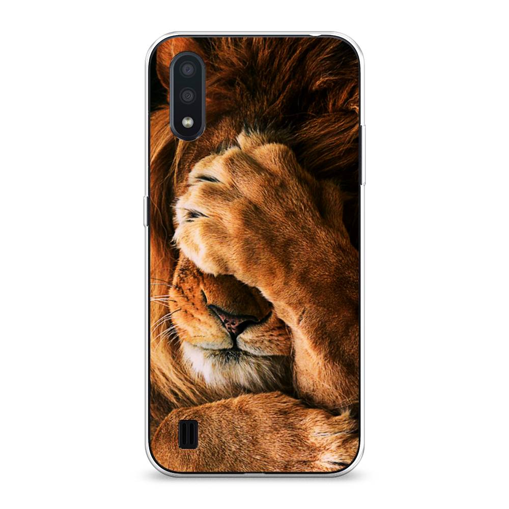 

Чехол Awog на Samsung Galaxy A01 "Львиный стыд", Разноцветный, 29550-1