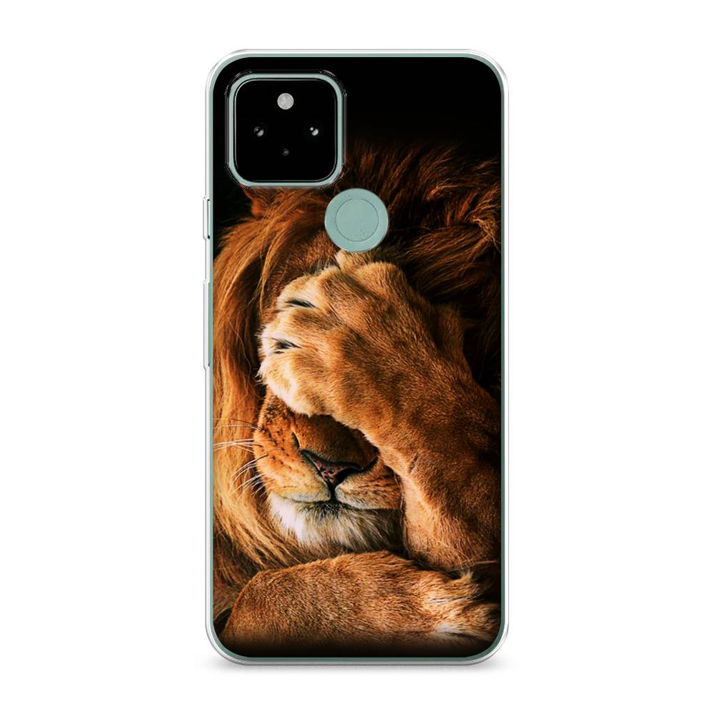 

Чехол Awog на Google Pixel 5A "Львиный стыд", Разноцветный, 271050-1