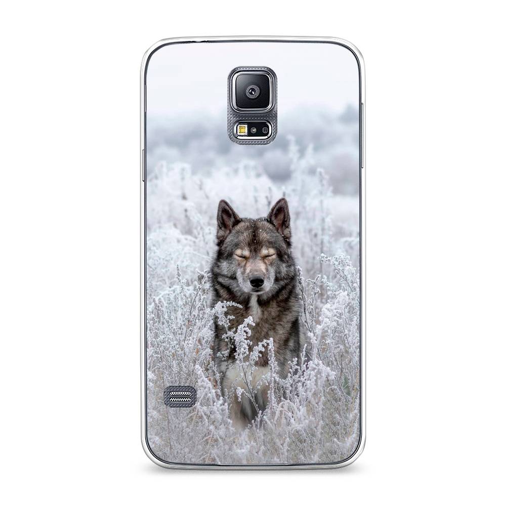 

Чехол Awog на Samsung Galaxy S5 "Волк в поле", Белый;черный, 24150-1