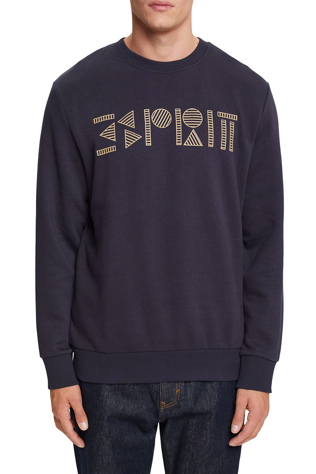 Свитшот мужской Esprit Casual 102EE2J303 синий L