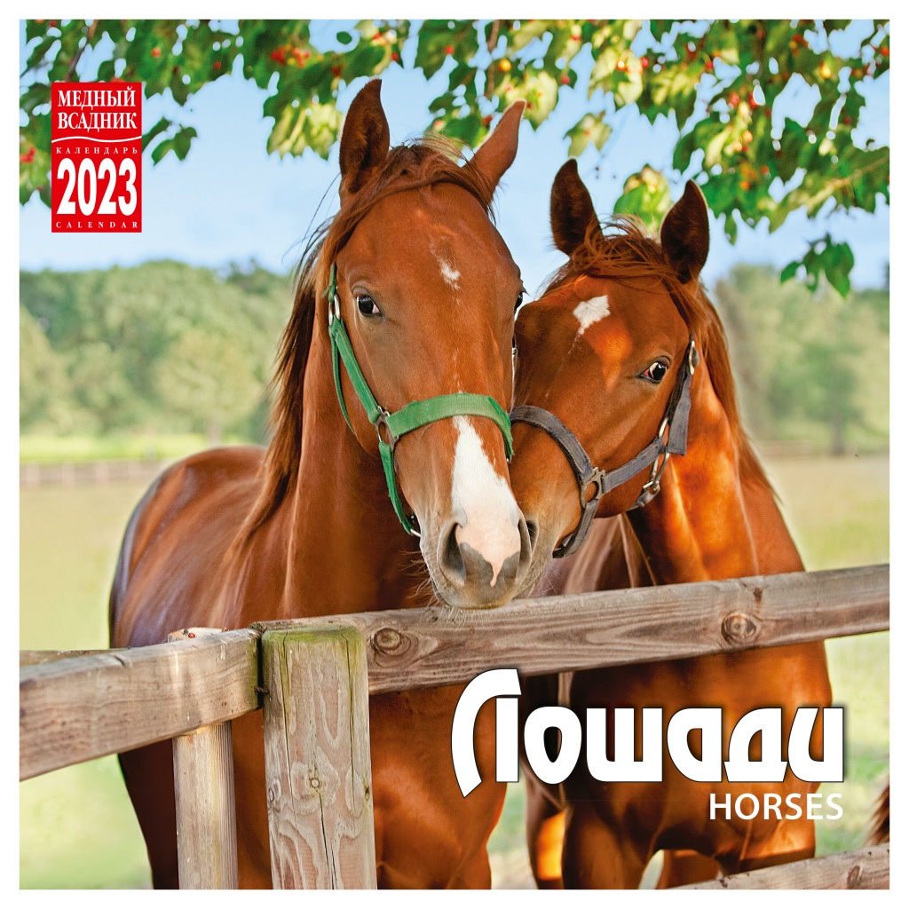 Календарь настенный перекидной на 2023 год на скрепке. ТД Медный Всадник.Лошади