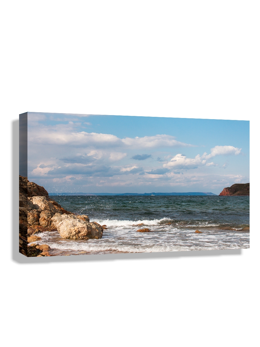 

Картина DRABS 50x30 см на холсте Волный Тихого Океана